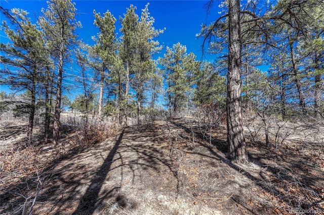 2111 Ramblewood Ct, Castle Rock, CO 80104