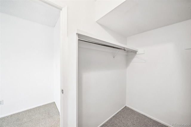 walk in closet with carpet flooring