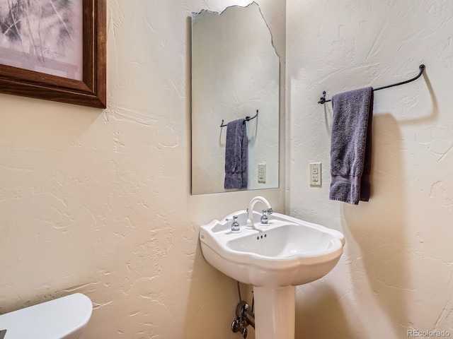 7076 Boreas Rd, Larkspur, CO 80118 - photo 9