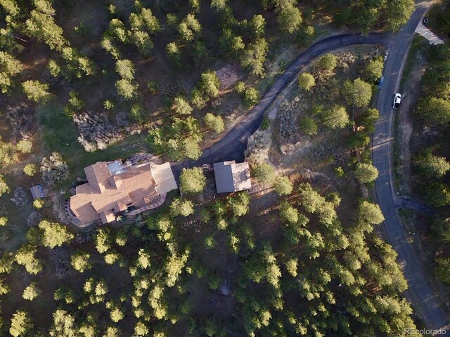 7076 Boreas Rd, Larkspur, CO 80118 - photo 34