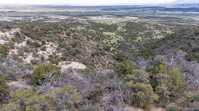 15621 Rancho Verde Ln, Trinidad, CO 81082 - photo 2