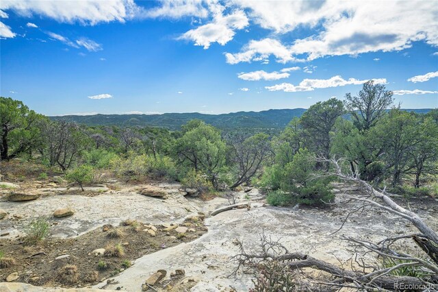 15621 Rancho Verde Ln, Trinidad, CO 81082 - photo 5