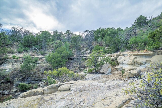 15621 Rancho Verde Ln, Trinidad, CO 81082 - photo 6