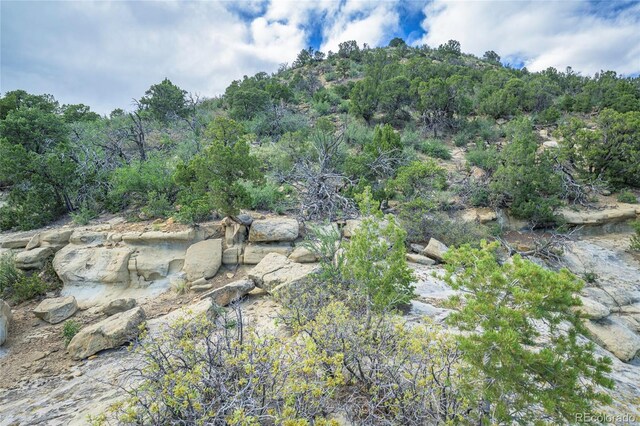 15621 Rancho Verde Ln, Trinidad, CO 81082 - photo 7