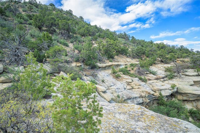 15621 Rancho Verde Ln, Trinidad, CO 81082 - photo 8