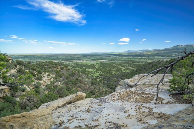 15621 Rancho Verde Ln, Trinidad, CO 81082 - photo 9