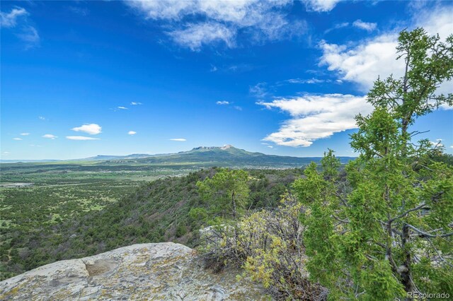 15621 Rancho Verde Ln, Trinidad, CO 81082 - photo 12