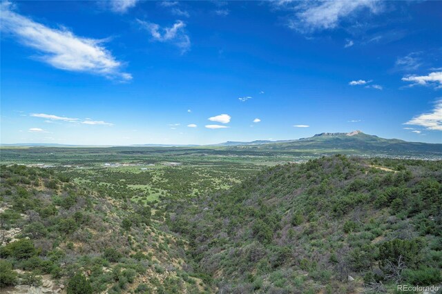 15621 Rancho Verde Ln, Trinidad, CO 81082 - photo 13