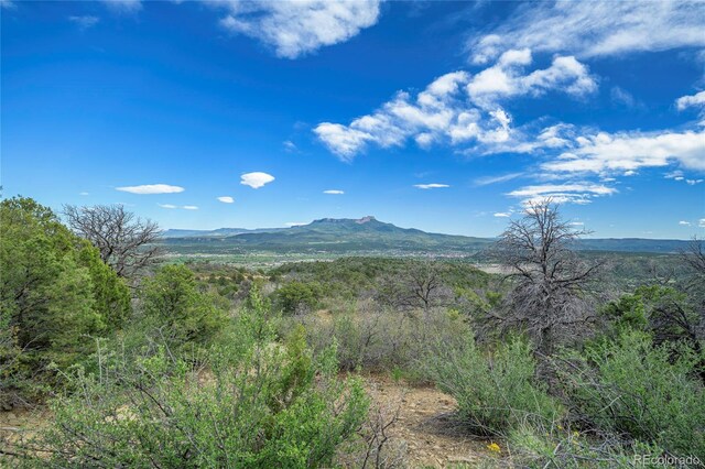 15621 Rancho Verde Ln, Trinidad, CO 81082 - photo 14