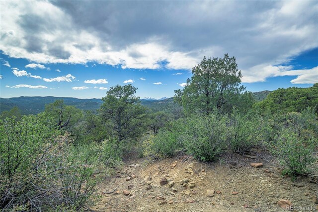 15621 Rancho Verde Ln, Trinidad, CO 81082 - photo 15