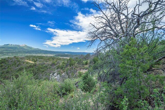 15621 Rancho Verde Ln, Trinidad, CO 81082 - photo 16
