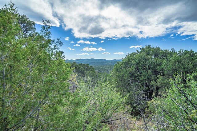 15621 Rancho Verde Ln, Trinidad, CO 81082 - photo 17
