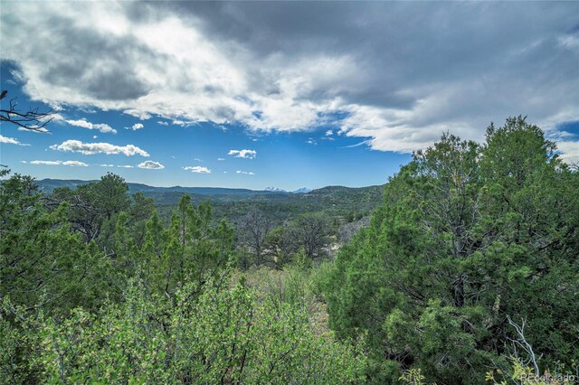 15621 Rancho Verde Ln, Trinidad, CO 81082 - photo 18