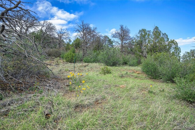 15621 Rancho Verde Ln, Trinidad, CO 81082 - photo 19