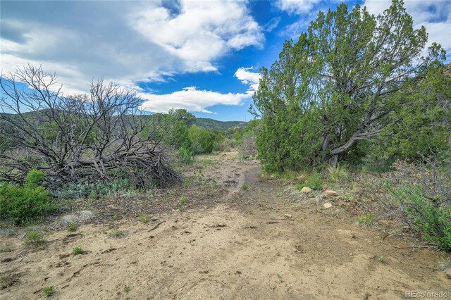 15621 Rancho Verde Ln, Trinidad, CO 81082 - photo 20