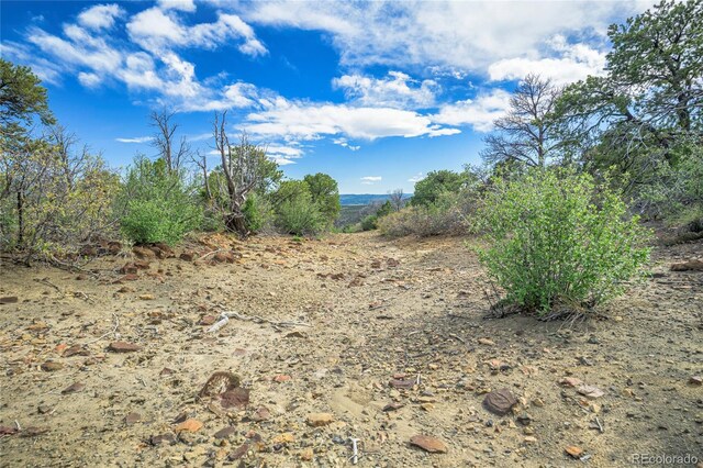 15621 Rancho Verde Ln, Trinidad, CO 81082 - photo 21