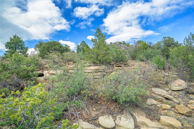15621 Rancho Verde Ln, Trinidad, CO 81082 - photo 22