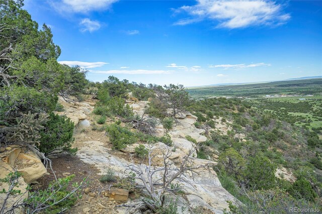 15621 Rancho Verde Ln, Trinidad, CO 81082 - photo 23