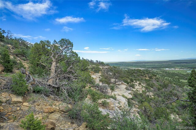 15621 Rancho Verde Ln, Trinidad, CO 81082 - photo 24