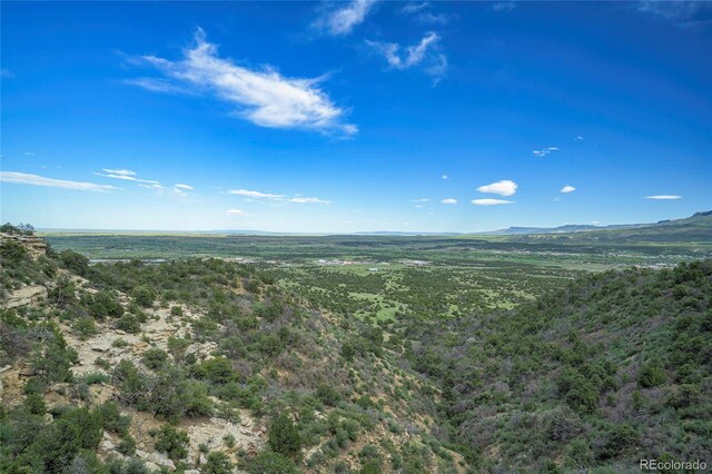 15621 Rancho Verde Ln, Trinidad, CO 81082 - photo 25