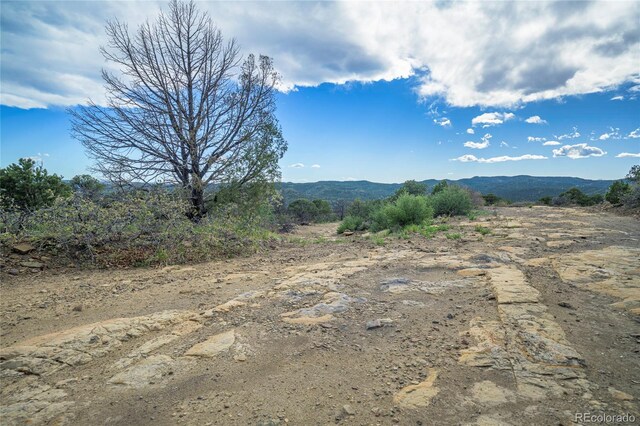 15621 Rancho Verde Ln, Trinidad, CO 81082 - photo 29
