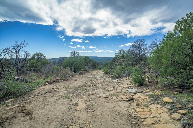 15621 Rancho Verde Ln, Trinidad, CO 81082 - photo 30