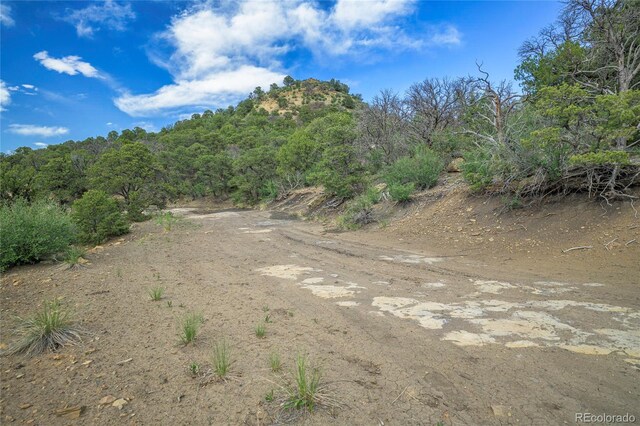 15621 Rancho Verde Ln, Trinidad, CO 81082 - photo 31