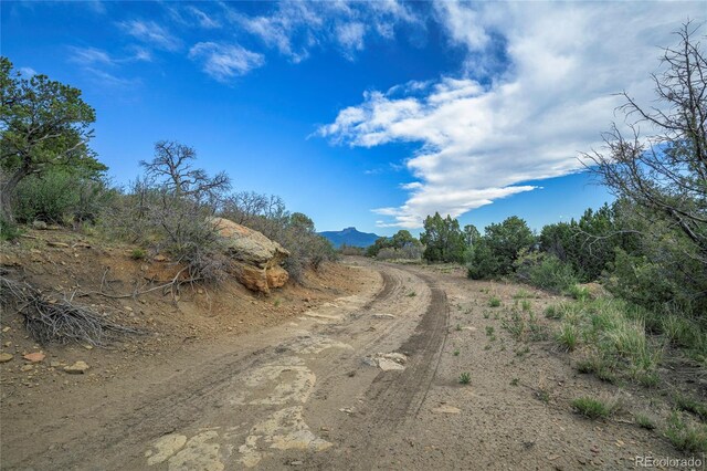 15621 Rancho Verde Ln, Trinidad, CO 81082 - photo 32