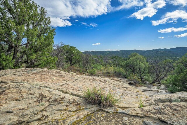 15621 Rancho Verde Ln, Trinidad, CO 81082 - photo 34