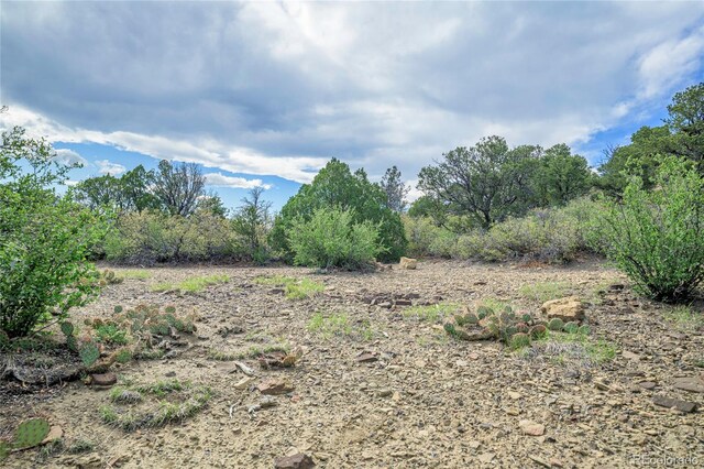 15621 Rancho Verde Ln, Trinidad, CO 81082 - photo 35