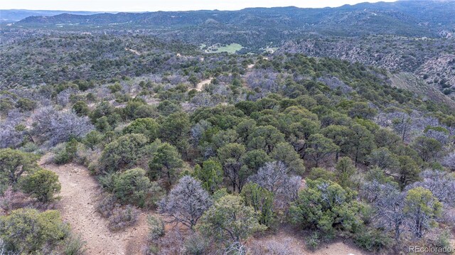 15621 Rancho Verde Ln, Trinidad, CO 81082 - photo 37
