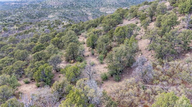 15621 Rancho Verde Ln, Trinidad, CO 81082 - photo 38