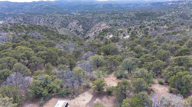 15621 Rancho Verde Ln, Trinidad, CO 81082 - photo 39