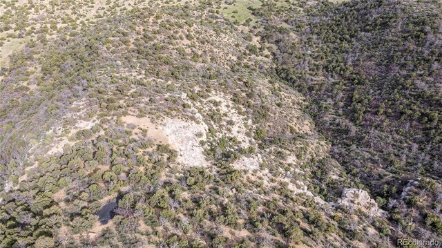 15621 Rancho Verde Ln, Trinidad, CO 81082 - photo 40