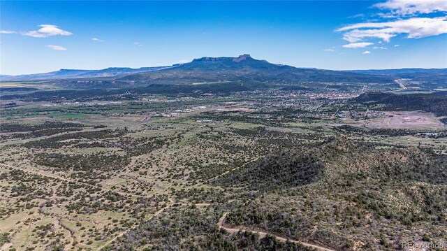 15621 Rancho Verde Ln, Trinidad, CO 81082 - photo 44