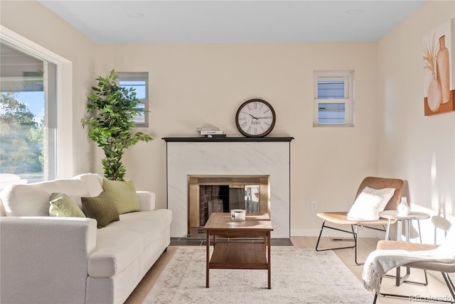 living area featuring a fireplace and light hardwood / wood-style flooring