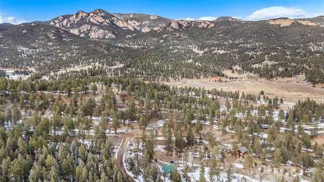 12362 S Polly Dr, Pine, CO 80470
