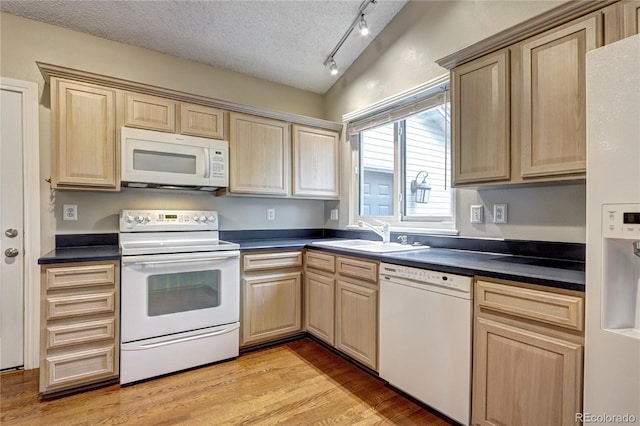 kitchen with track lighting, a textured ceiling, sink, light wood-type flooring, and white appliances