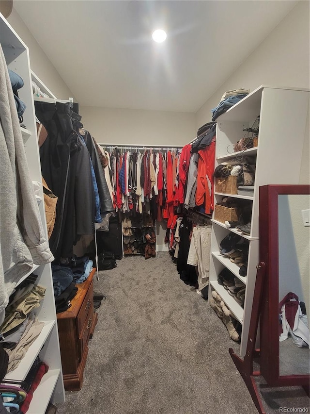 spacious closet featuring carpet