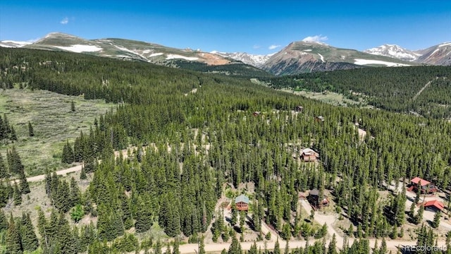 1387 Bobcat Ln, Fairplay, CO 80440 - mountain view featuring a forest