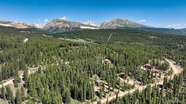 1387 Bobcat Ln, Fairplay, CO 80440 - view of mountain backdrop with a forest
