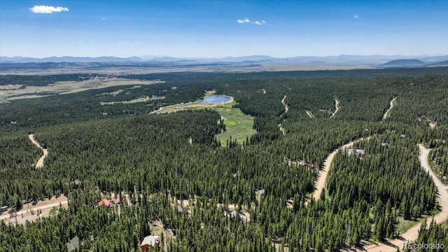 1387 Bobcat Ln, Fairplay, CO 80440 - bird's eye view of a forest and a mountain backdrop