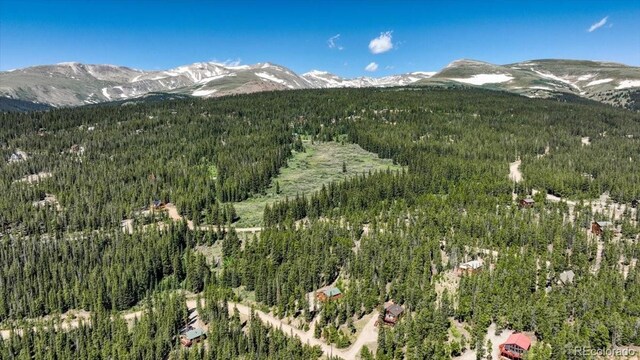 1387 Bobcat Ln, Fairplay, CO 80440 - mountain view with a heavily wooded area