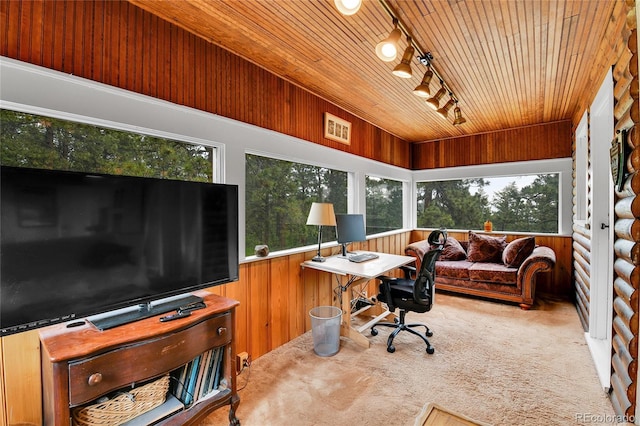 350 Tower Hill Cir, Golden, CO 80401 - carpeted office with wood ceiling, track lighting, wooden walls, and vaulted ceiling