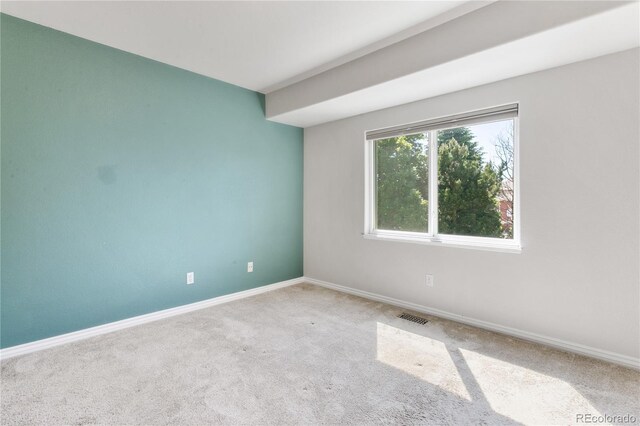 531 Saber Creek Dr, Monument, CO 80132 - photo 30