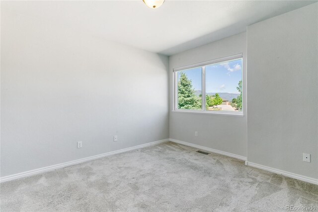 531 Saber Creek Dr, Monument, CO 80132 - photo 33
