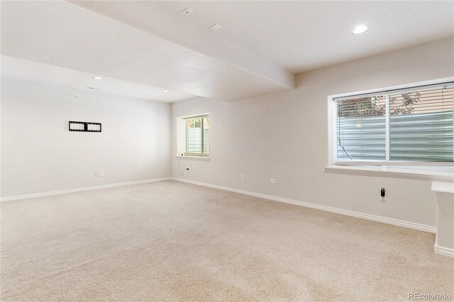 531 Saber Creek Dr, Monument, CO 80132 - photo 38
