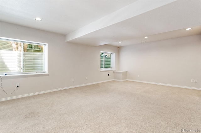 531 Saber Creek Dr, Monument, CO 80132 - photo 39