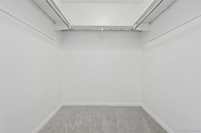 spacious closet with carpet flooring