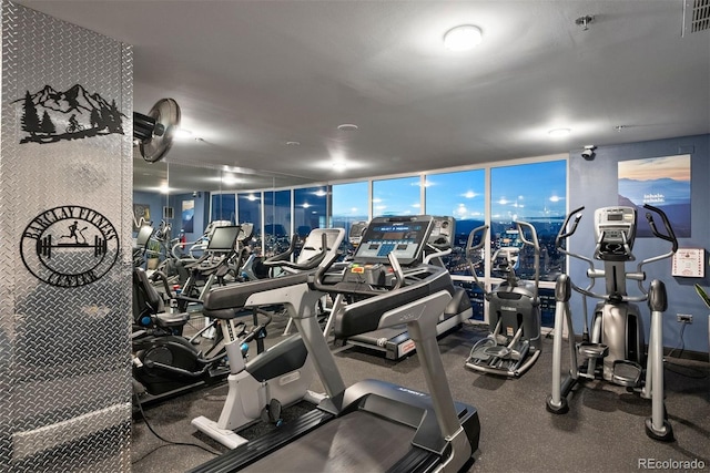 workout area featuring a wall of windows